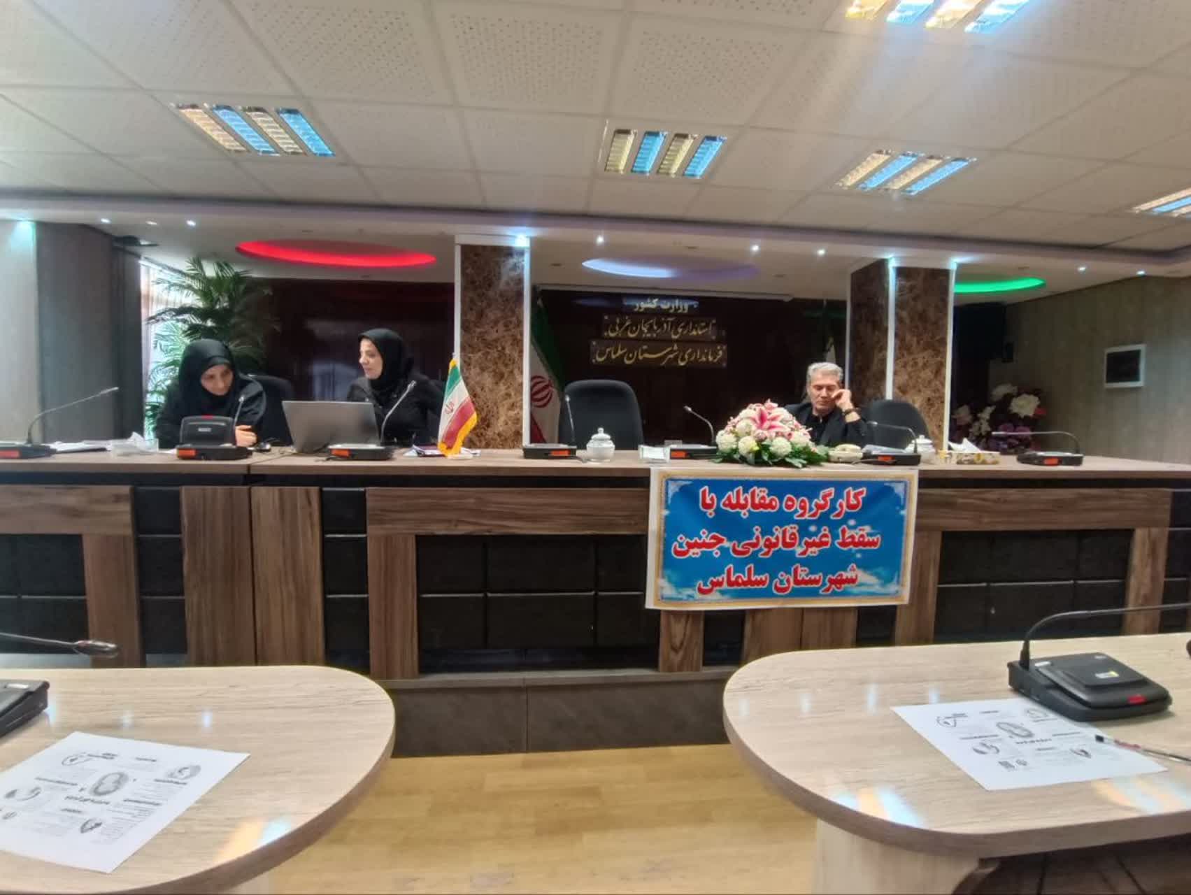 کار گروه مقابله با سقط غیر قانونی جنین