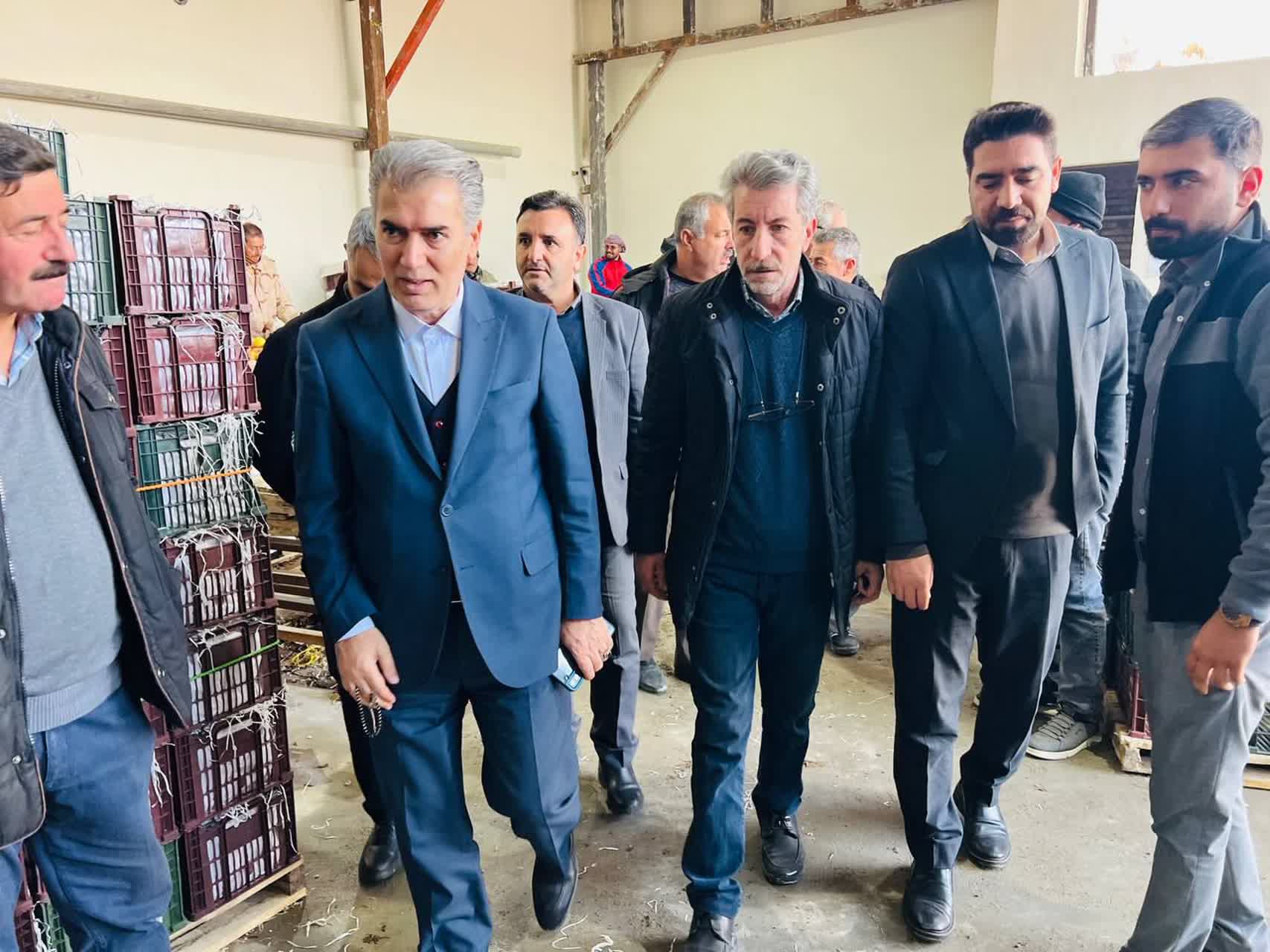 🔰بازدید فرماندار سلماس از واحد سورت و بستهبندی سیب در روستای هفتوان