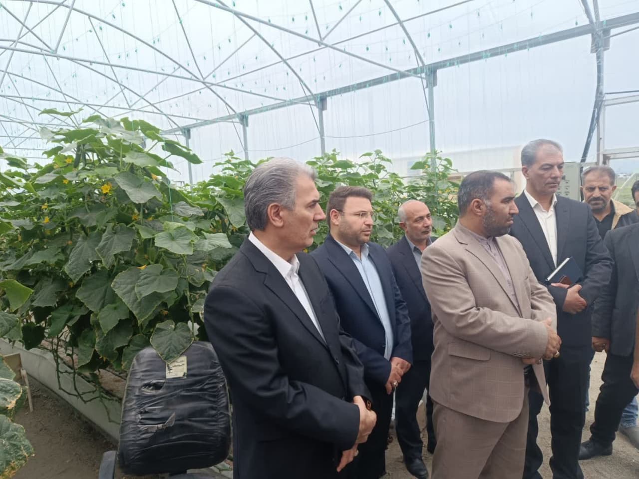 ♻️ بازدید فرماندار سلماس و جمعی از مسئولین از پروژههای گلخانهای و شهرک کشاورزی سلماس