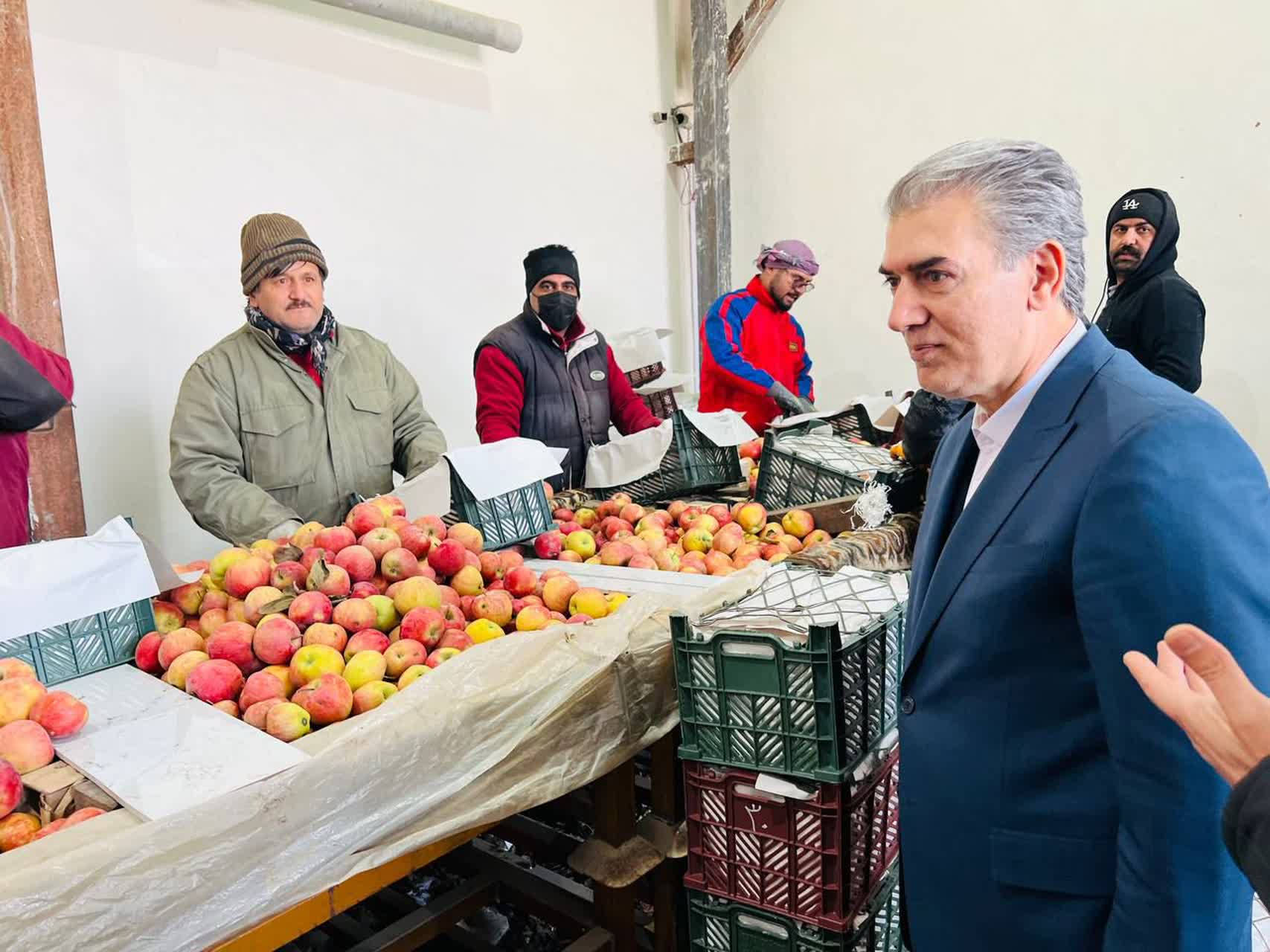 🔰بازدید فرماندار سلماس از واحد سورت و بستهبندی سیب در روستای هفتوان