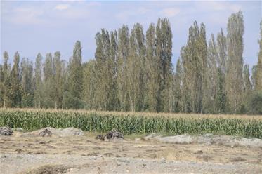 طبیعت لکستان